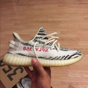 Meet your Posher, Ray